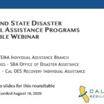 Federal and State Disaster Individual Assistance Programs Roundtable