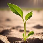 CRA Stakeholder Survey: We Want to Hear from You