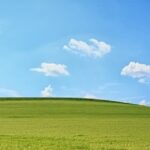 A Planned Pause — and a Look at What’s Next